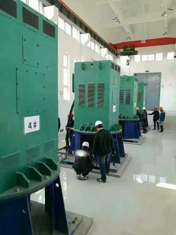 南漳某污水处理厂使用我厂的立式高压电机安装现场生产厂家