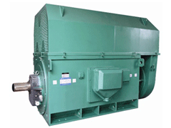 南漳Y系列6KV高压电机